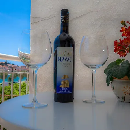 Family Nizic Apartment